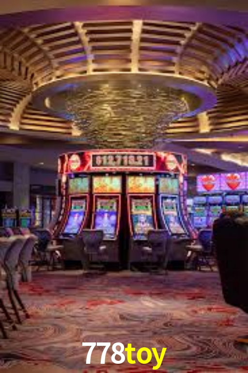 Interface Premium 778toy